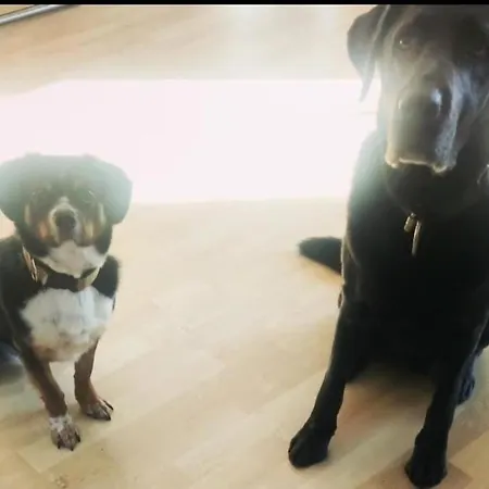 Ferienwohnung, Apartment, - Berlin Neuenhagen דירה *