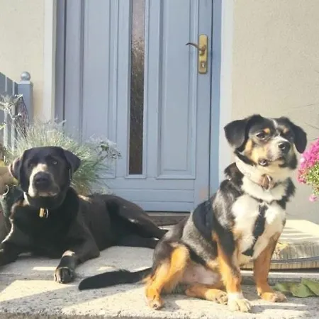 Ferienwohnung, Apartment, - Berlin Neuenhagen