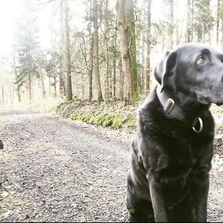 דירה Ferienwohnung, Apartment, - Berlin Neuenhagen Neuenhagen bei Berlin