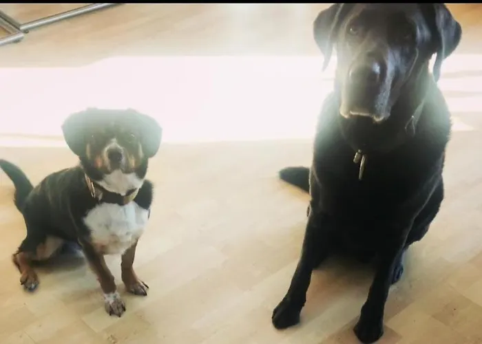 Ferienwohnung, Apartment, - Berlin Neuenhagen Lägenhet *