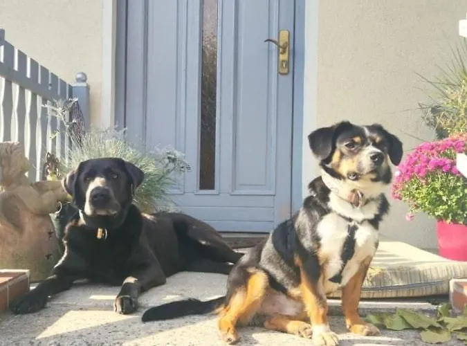 Ferienwohnung, Apartment, - Berlin Neuenhagen