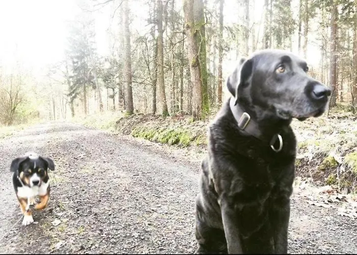 Lägenhet Ferienwohnung, Apartment, - Berlin Neuenhagen Neuenhagen bei Berlin